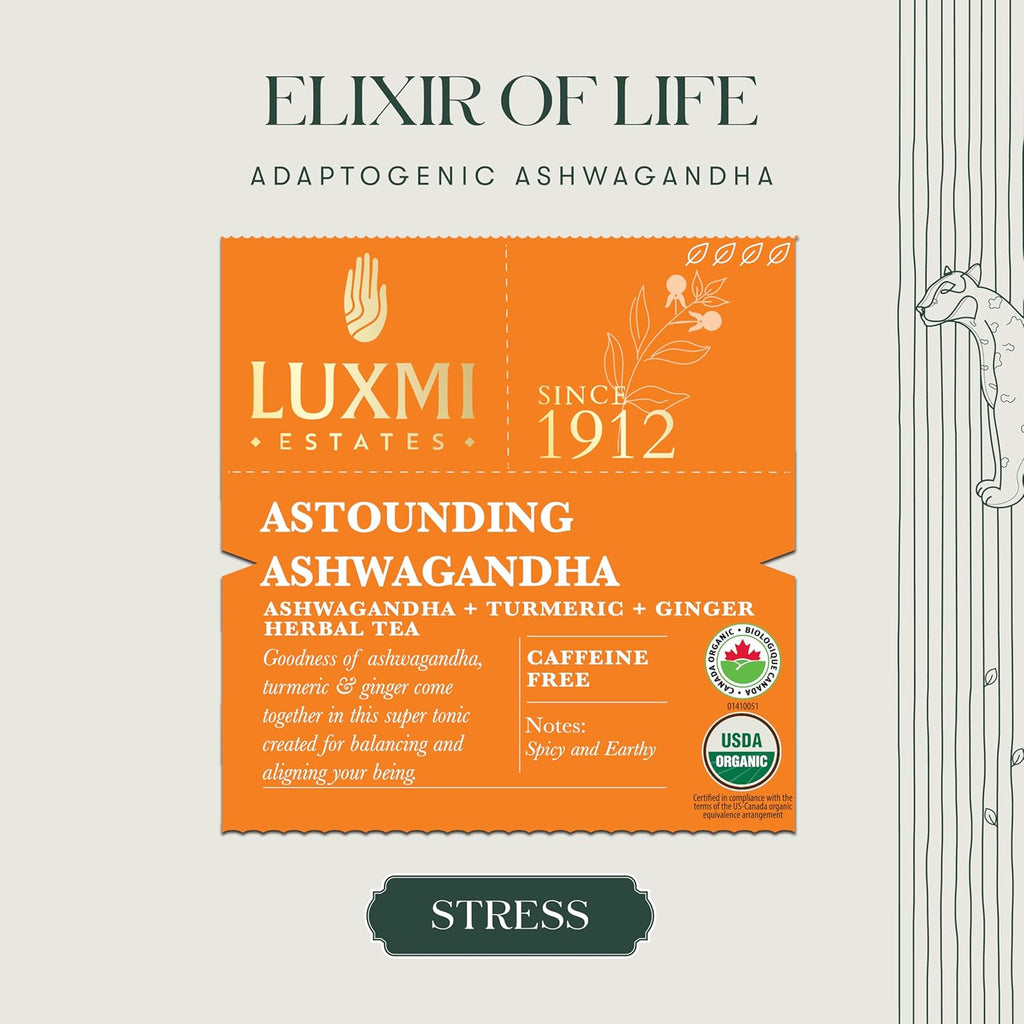 Ashwagandha Turmeric | 50 Tea Bags | Organic Herbal Bio Mesh Tea Bags