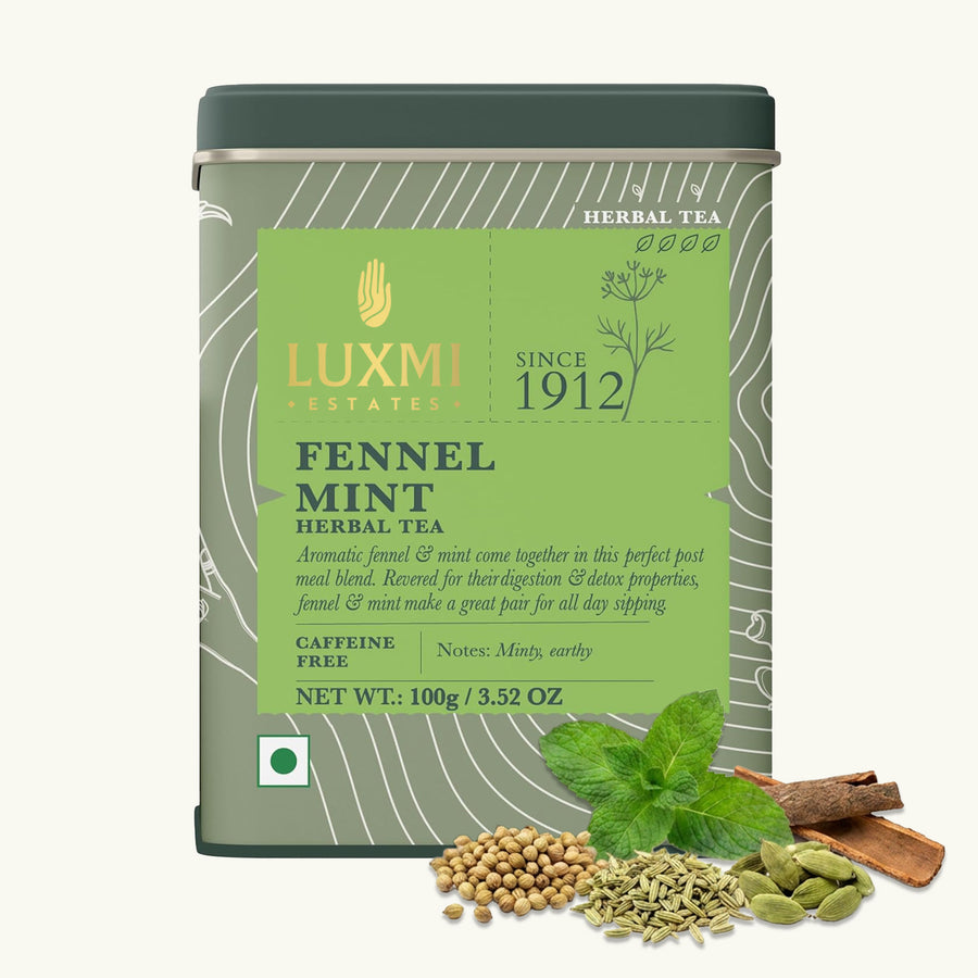 Fennel Mint Herbal Tea | 100 gm Tin Caddy | Herbal Loose Tea