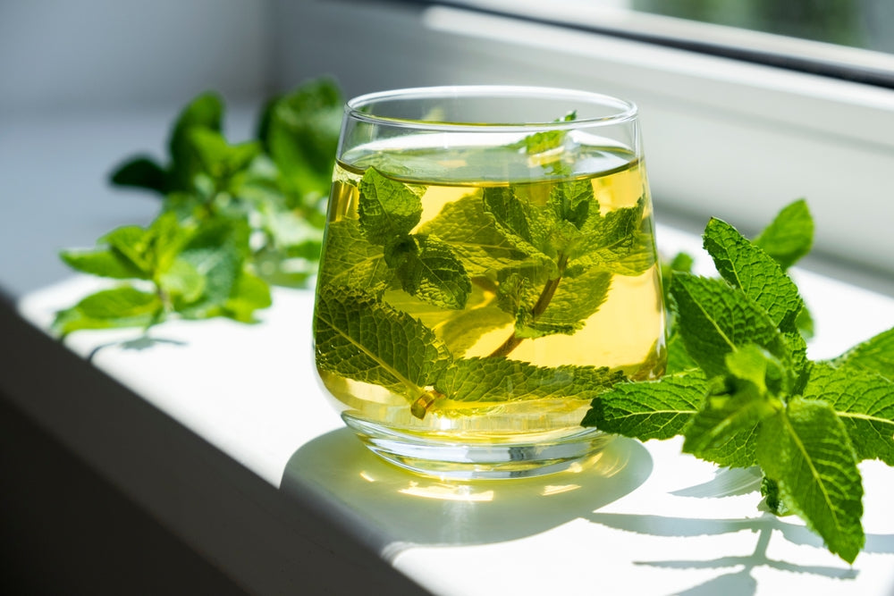 Peppermint Tea Benefits After Meals: A Guide to Easing Digestion Naturally  – Luxmi Estates