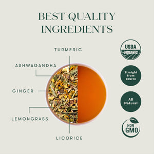 Astounding Ashwagandha | 25 Tea Bags | Organic Herbal Bio Mesh Tea Bags