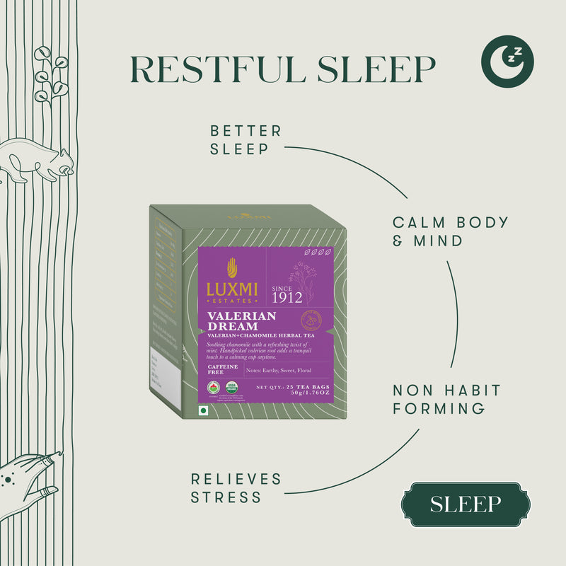 Valerian Dream | Sleep Herbal Infusion | 25 Herbal Bags | Organic Herbal Infusion Biodegradable Bags