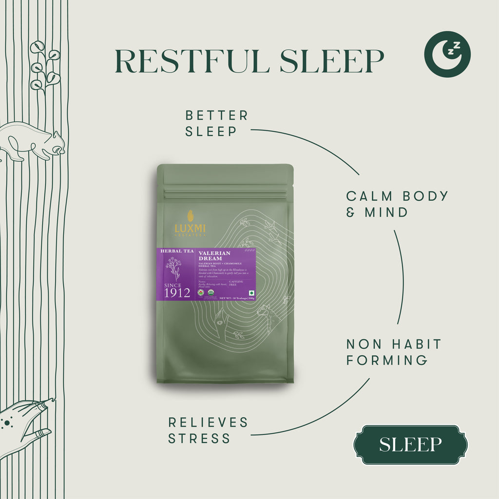 Valerian Dream | Sleep Tea | 50 Tea Bags | Organic Herbal Bio Mesh Tea Bags