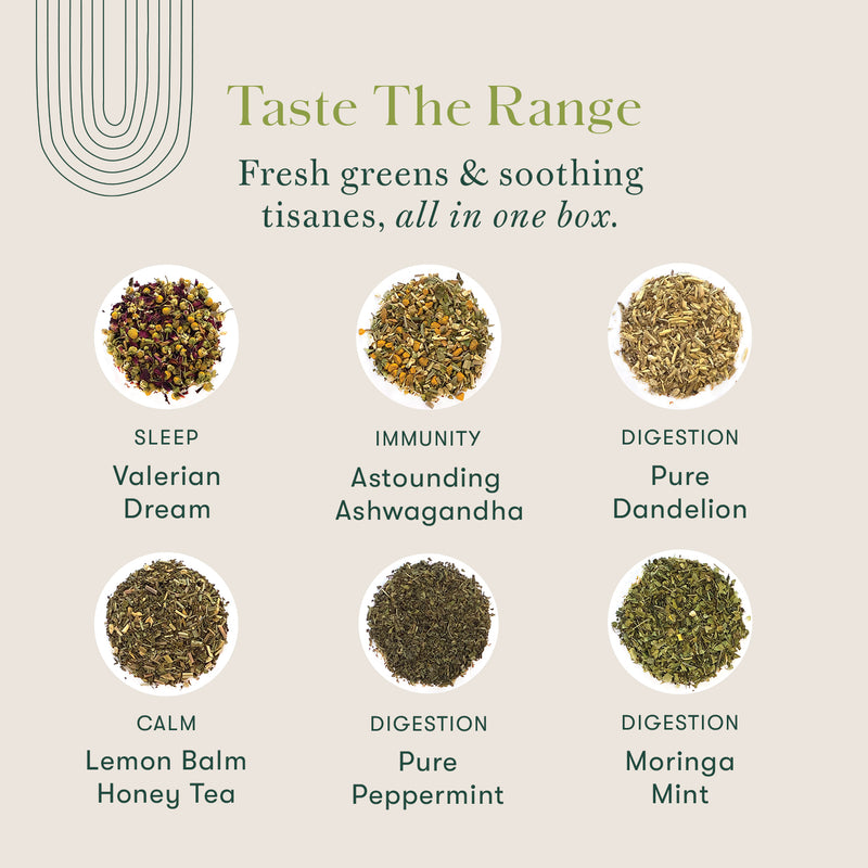 Discovery Collection | 36 Discovery Blends- 12 Distinct Blends, 3 Tea Bags Each