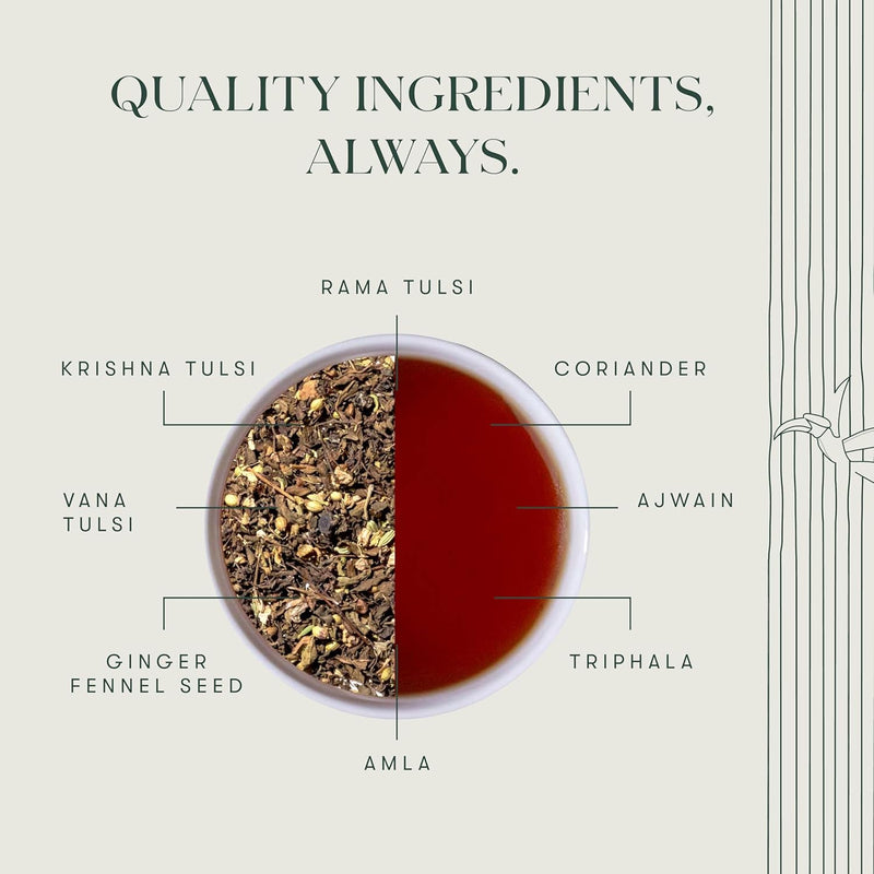 Tulsi Tea | Immunity Herbal Infusion