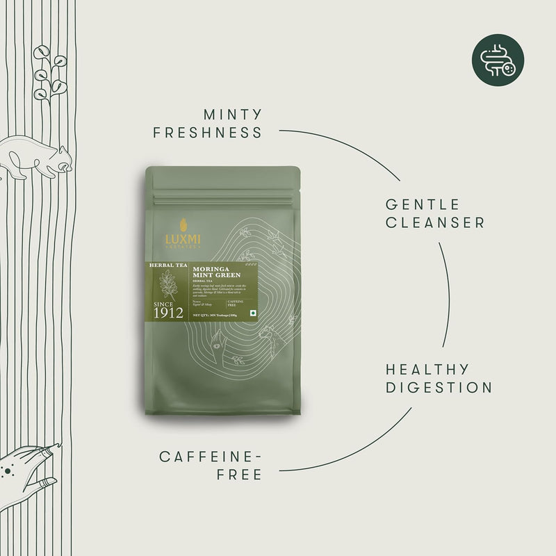 Moringa Mint | 50 Tea Bags | Herbal Bio Mesh Tea Bags