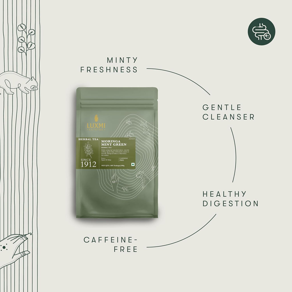 Moringa Mint | 50 Tea Bags | Herbal Bio Mesh Tea Bags