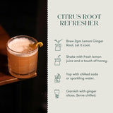 Lemon Ginger Root | 25 Herbal Infusion Bag | Organic Herbal Biodegradable Bags