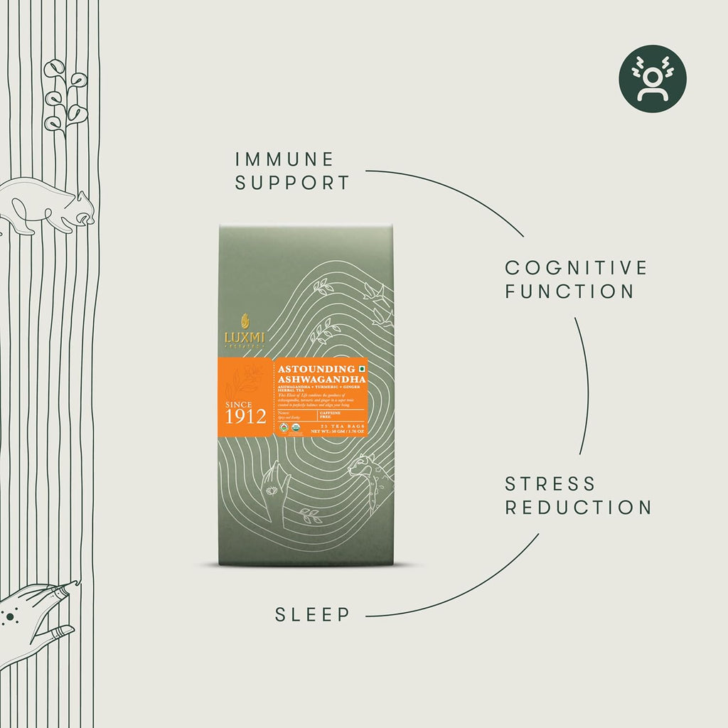 Ashwagandha Turmeric | 60 Tea Bags | Organic Herbal Tea | 2N*60 = 120G