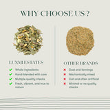 Lemon Ginger Root | 25 Herbal Infusion Bag | Organic Herbal Biodegradable Bags