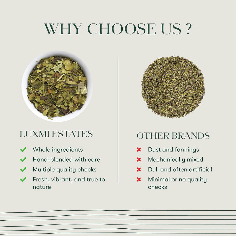 Moringa Mint | 50 Tea Bags | Herbal Bio Mesh Tea Bags
