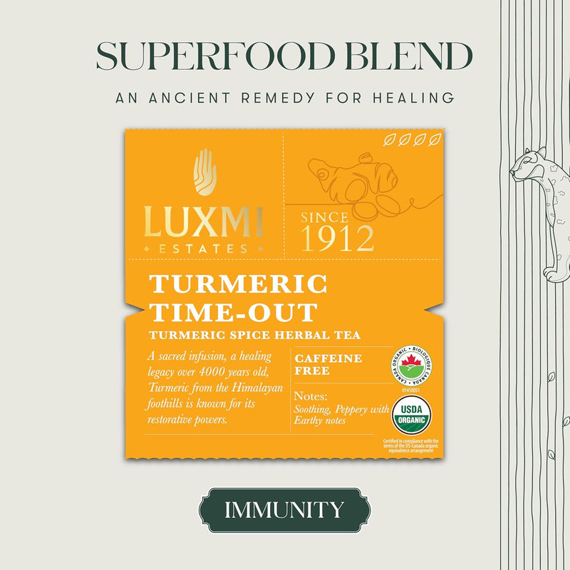 Turmeric Ginger | Turmeric Time-Out | 50 Tea Bags | Organic Herbal Tea