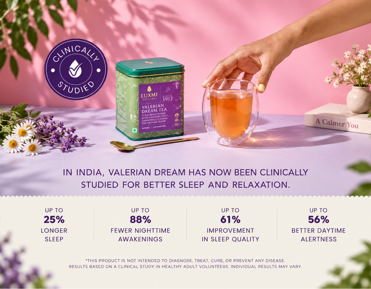 Valerian Dream — clinically studied for better sleep