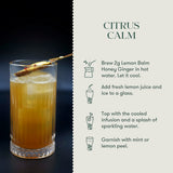 Lemon Balm Honey Ginger | 50 gm | Herbal Infusion