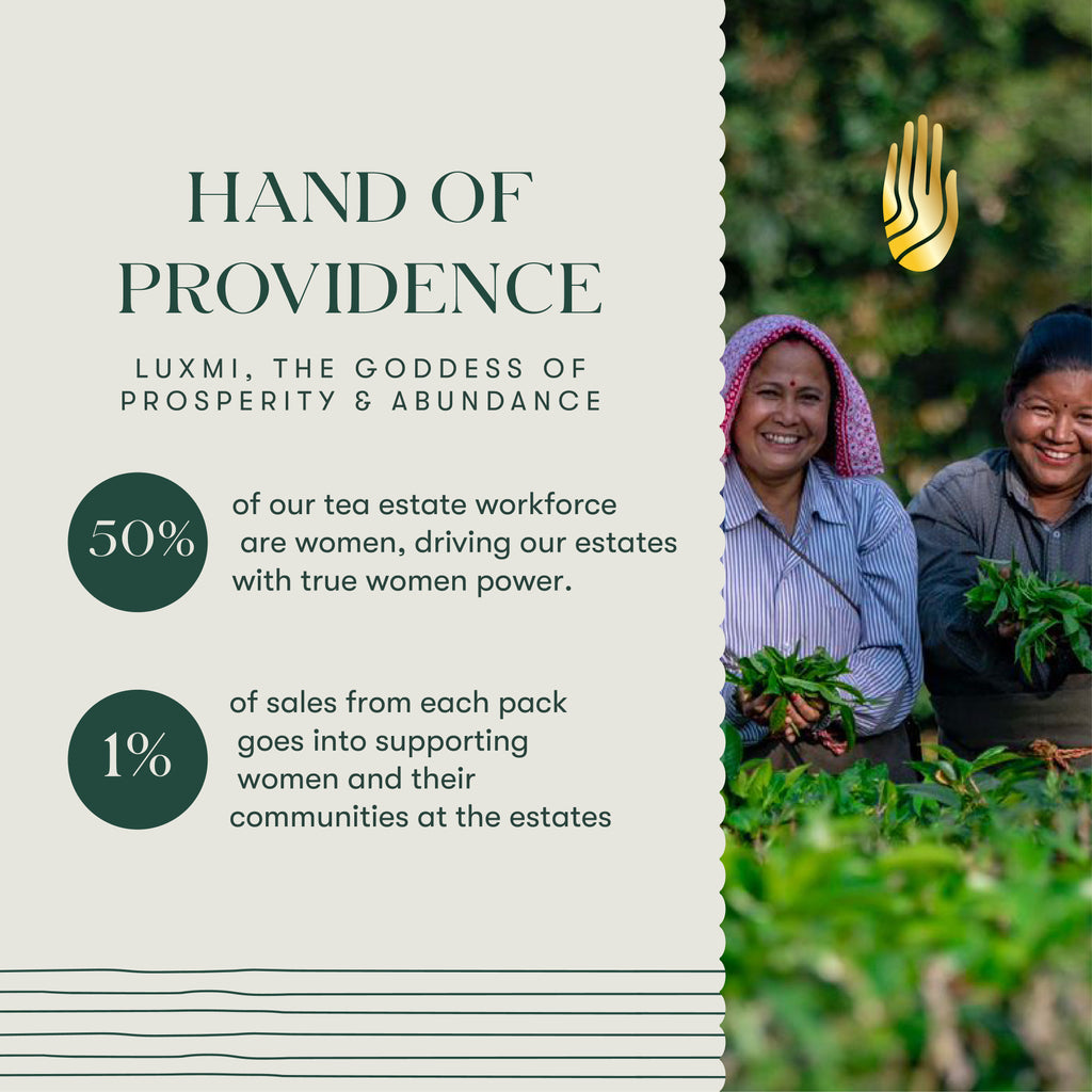 Luxmi Estates-  Tea Estates Women Workforce