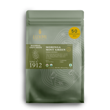 Moringa Mint | 50 Tea Bags | Herbal Bio Mesh Tea Bags