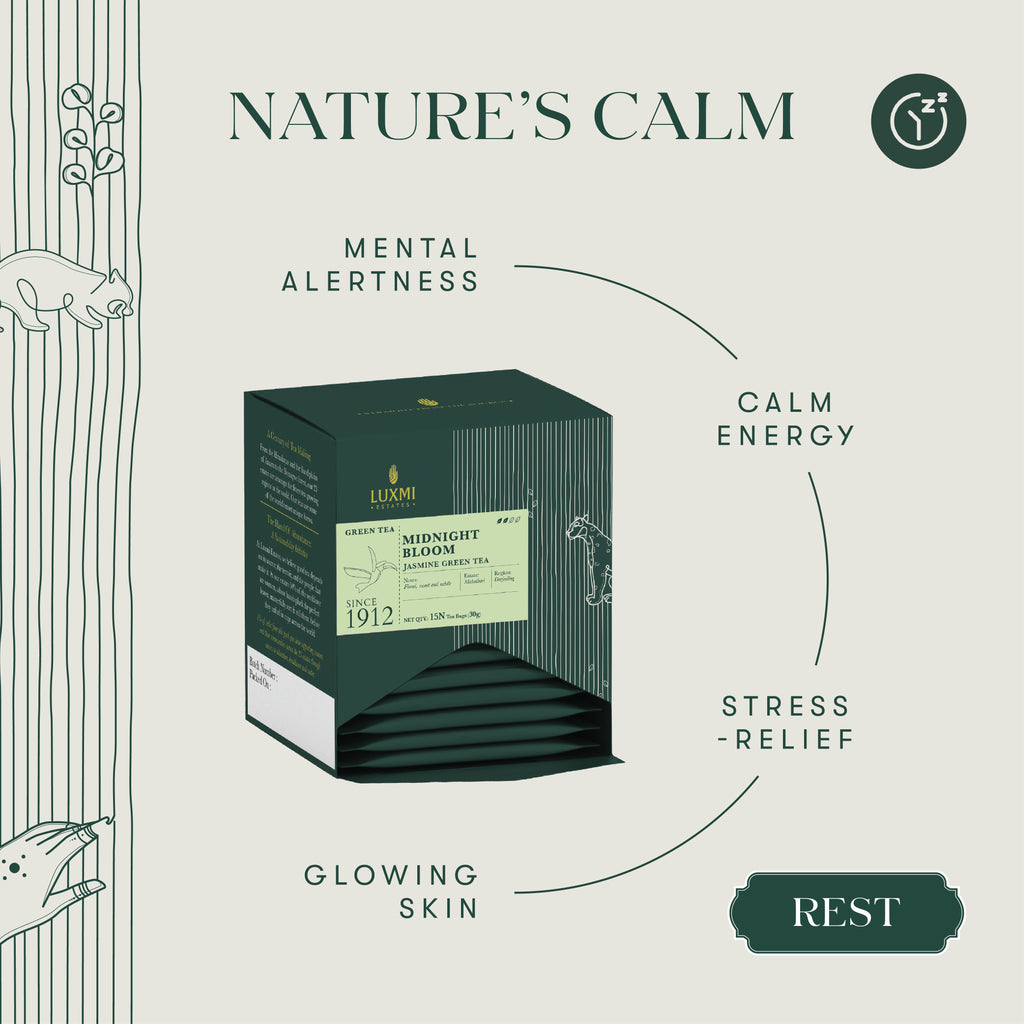 Midnight Bloom Jasmine Green Tea | 15 Biodegradable Tea Bags | Organic Green Tea