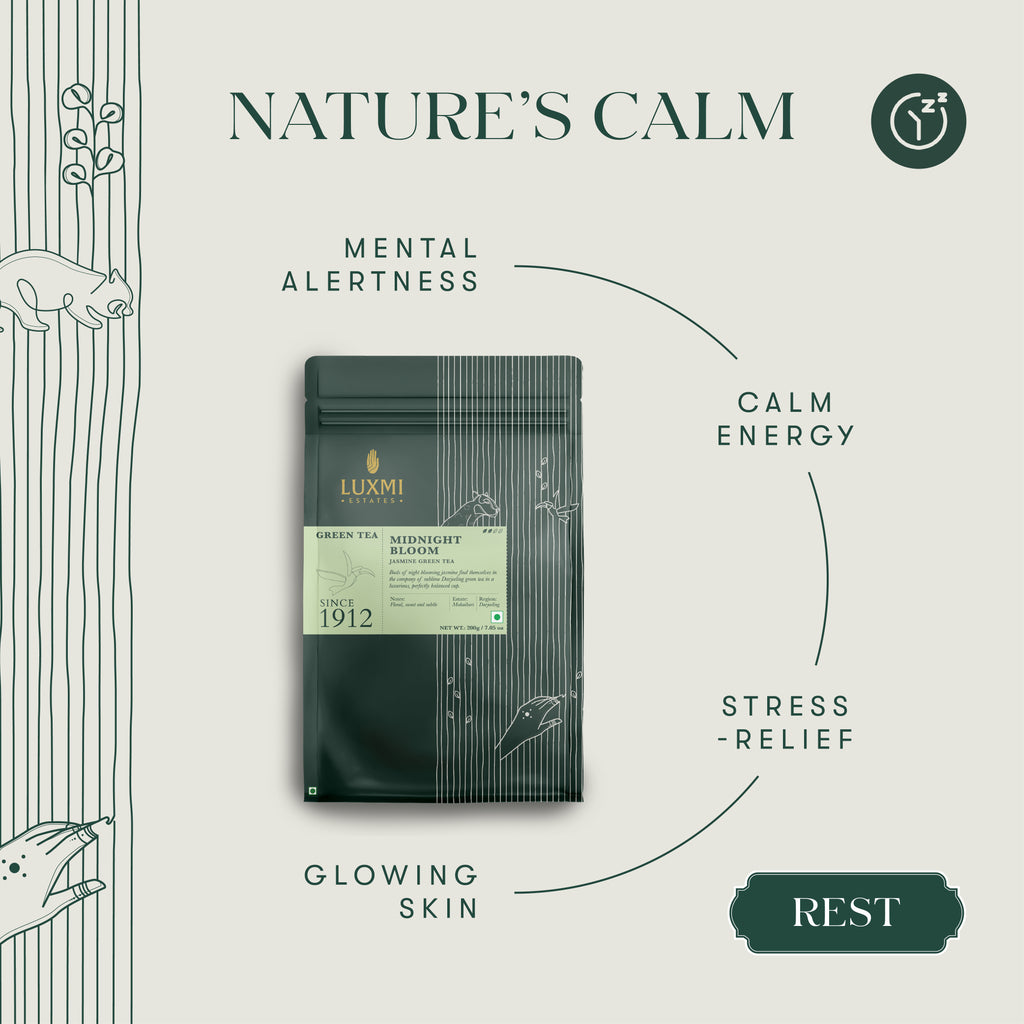 Midnight Bloom Jasmine Green Tea | 200 Gm Loose Leaf | Organic Green Tea