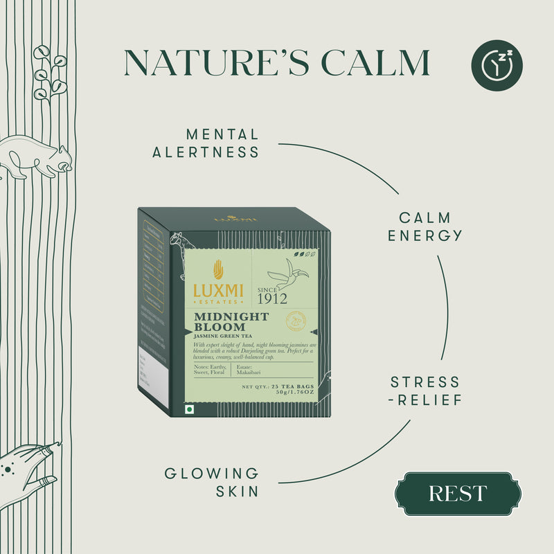 Midnight Bloom Jasmine Green Tea | Biodegradable Tea Bags
