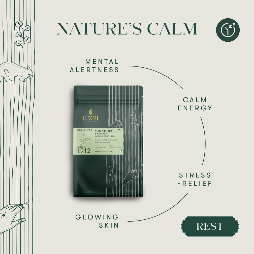 Midnight Bloom Jasmine Green Tea | 50 Biodegradable Tea Bags | Organic Green Tea