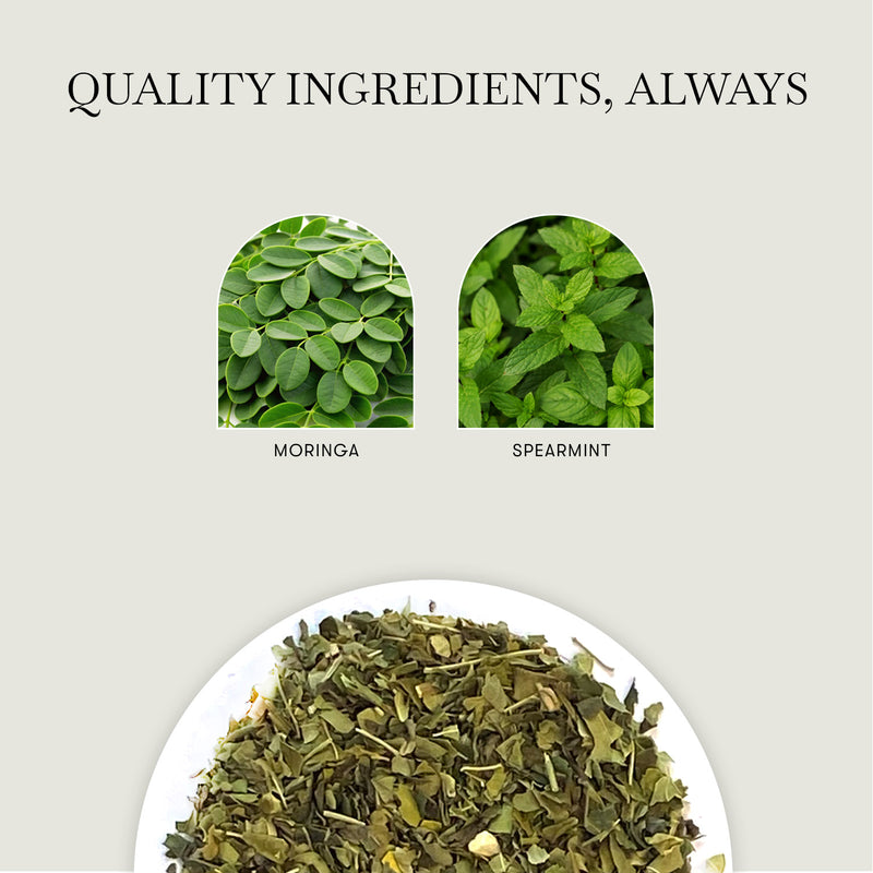Moringa Mint | 50 gm | Tin Caddy | Herbal Infusion Tea