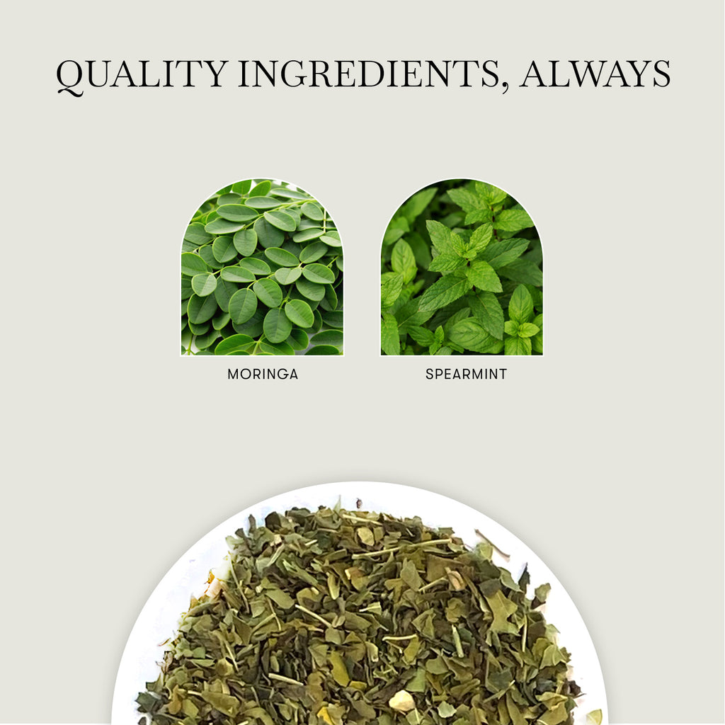 Moringa Mint | 50 Tea Bags | Herbal Bio Mesh Tea Bags