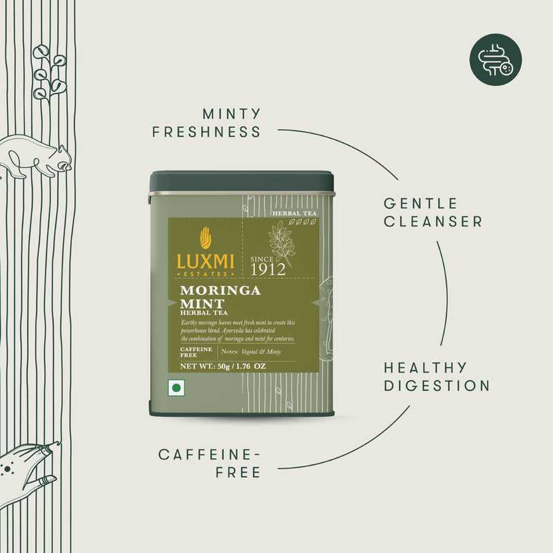 Moringa Mint Caffeine Free Tea