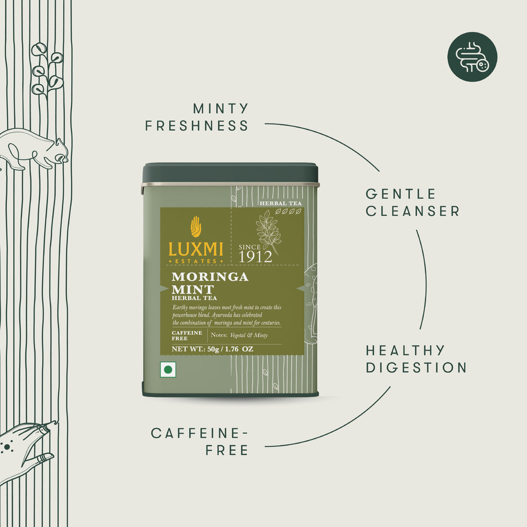 Moringa Mint Caffeine Free Tea