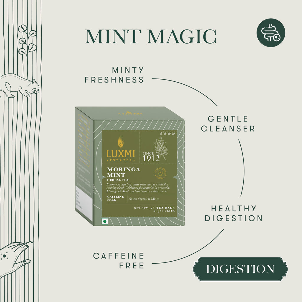 Moringa Mint | 25 Herbal Infusion Bags | Organic Herbal Biodegradable Bags