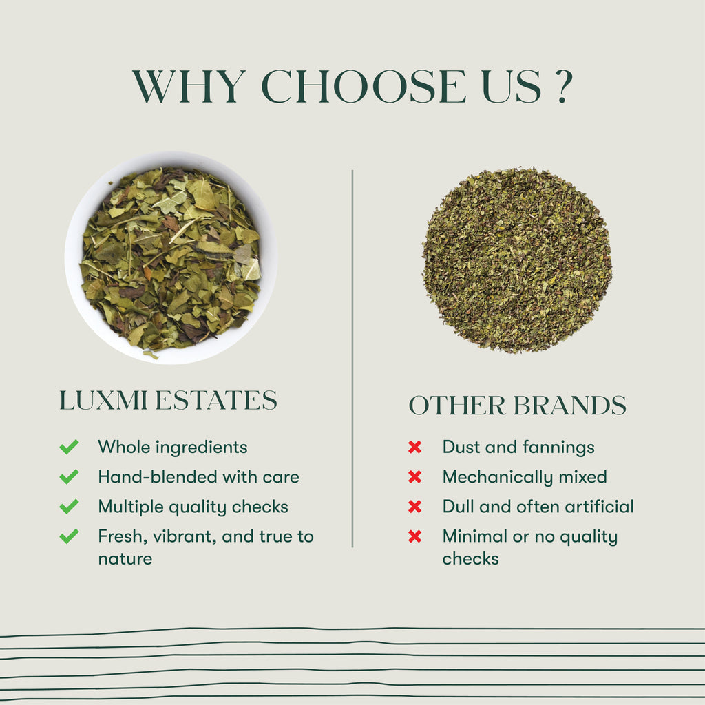 Moringa Mint | 25 Herbal Infusion Bags | Organic Herbal Biodegradable Bags