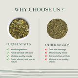 Moringa Mint | 25 Herbal Infusion Bags | Organic Herbal Biodegradable Bags