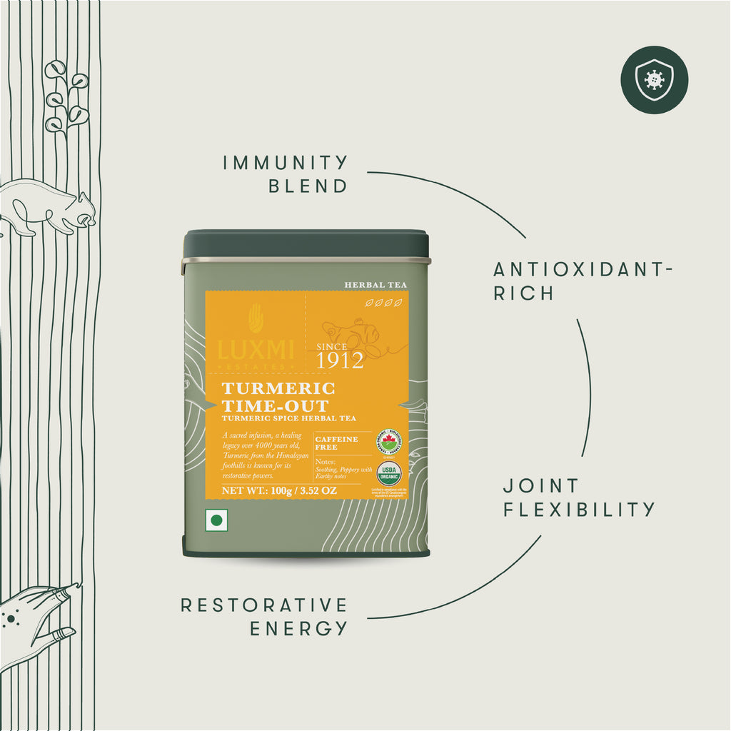 Turmeric Ginger | 100gm | Organic Herbal Tea