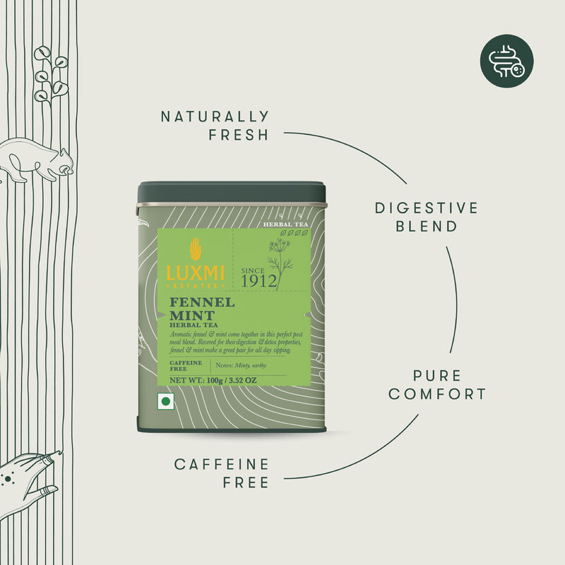 Fennel Mint Herbal Tea | 100 gm Tin Caddy | Herbal Loose Tea