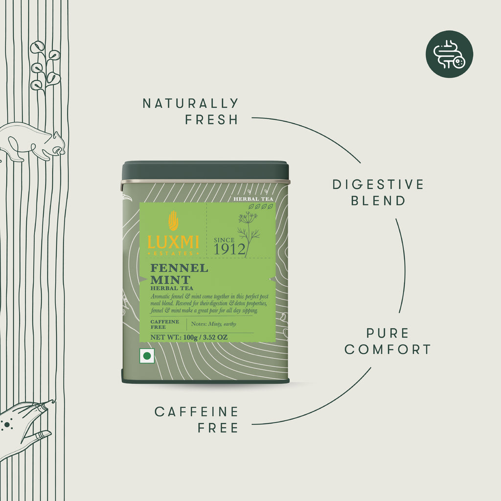 Fennel Mint Herbal Tea | 100 gm Tin Caddy | Herbal Loose Tea