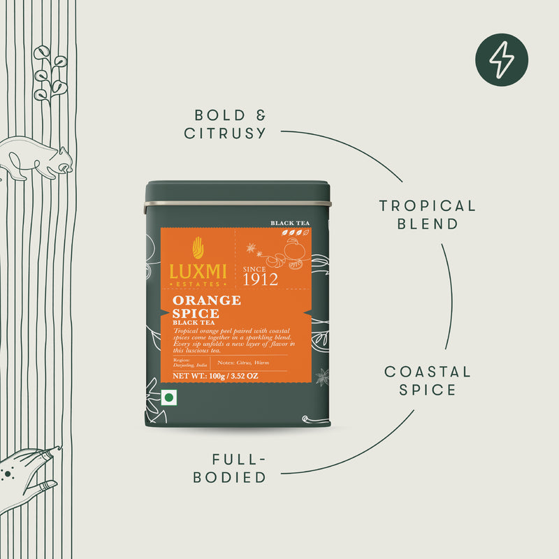 Orange Spice | 100 gm | Black Tea