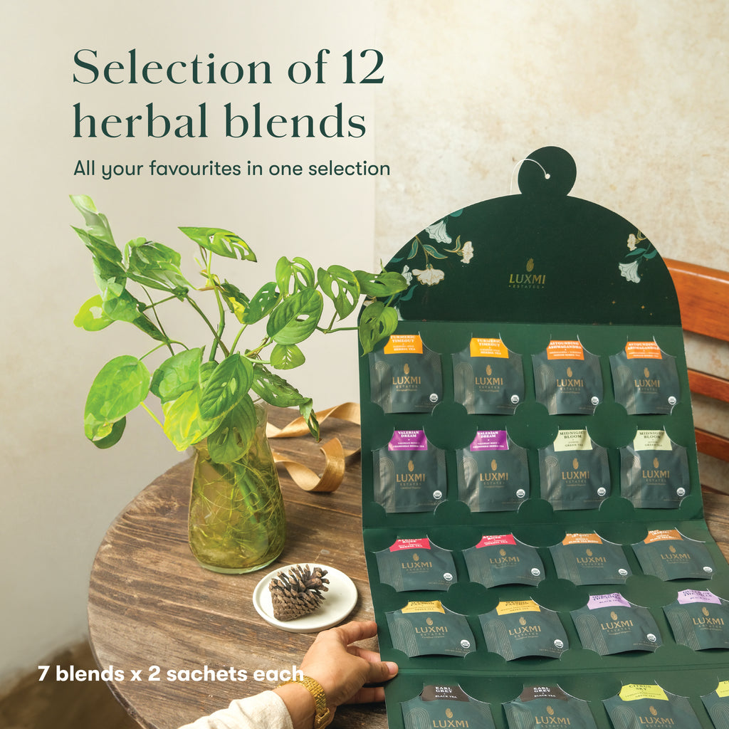 Daily Ritual Calendar | Gift Pack Assortment | 24 Tea Bags | Advent Calendar