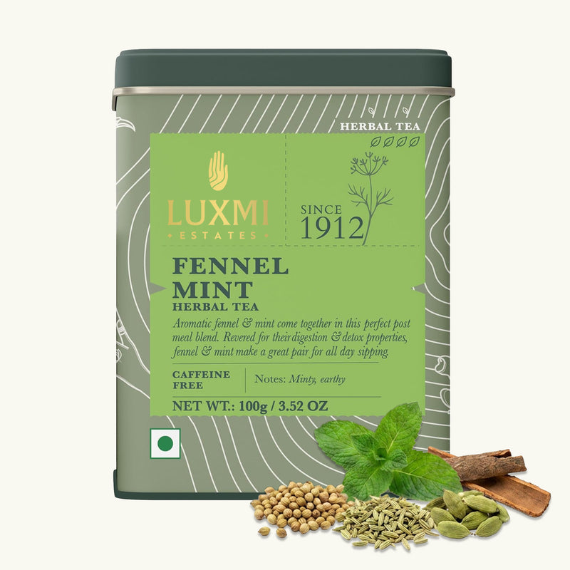 Fennel Mint Herbal Tea | 100 gm Tin Caddy | Herbal Loose Tea