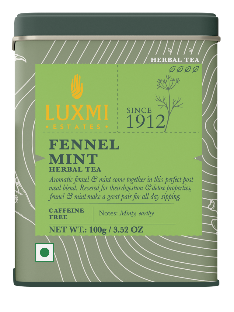 Fennel Mint Herbal Tea | 100 gm Tin Caddy | Herbal Loose Tea