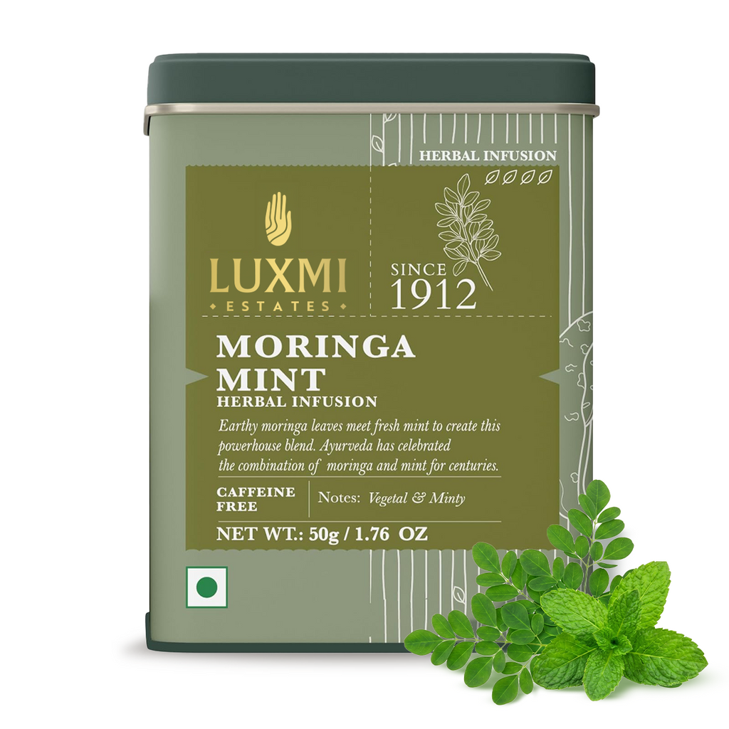 Moringa Mint | 50 gm | Tin Caddy | Herbal Infusion Tea