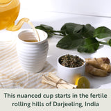 Darjeeling Lemongrass Ginger Green Tea