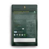 Midnight Bloom | 50 Tea Bags | Organic Green Tea - Luxmi Estates